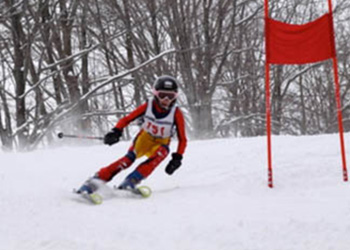 skier3 skier3